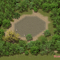 盛大地图完美改善免补丁